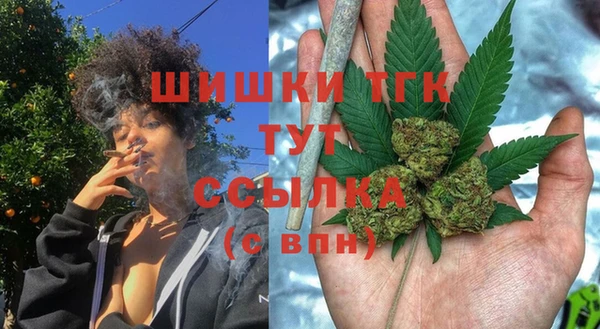 тгк Сатка