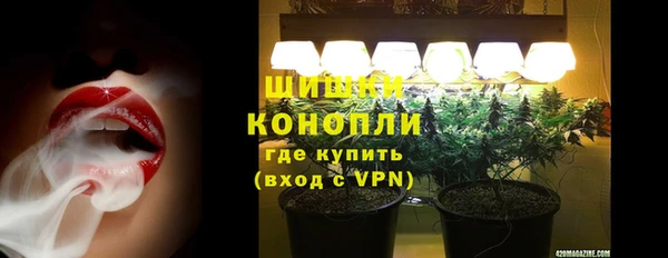 тгк Сатка
