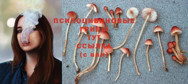 соль ск Балахна