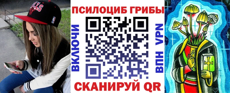 Псилоцибиновые грибы Cubensis  ОМГ ОМГ онион  Таштагол 
